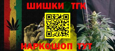 СК Моздок