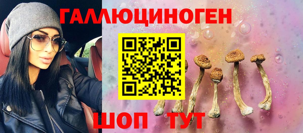 Электрогорск  Галлюциногенные грибы Cubensis  Вход с VPN 