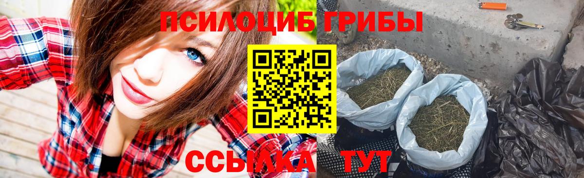 Галлюциногенные грибы Cubensis Электрогорск